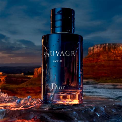 dior sauvage nachgemacht|sauvage Dior perfume for men.